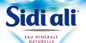 Logo-SidiAli